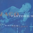 The Jaco Pastorius's Word Of Mouth Band (JP&#