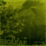 Big Leaf feat. EverWonder, C Boogie